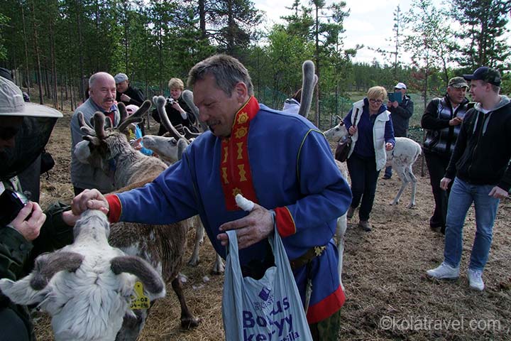 Get to know the amazing nature of Russian Lapland, the Midnight Sun, the beauty of the Barents sea, the mystical attraction of Teriberka, the Saami with their reindeer and affectionate Huskies.