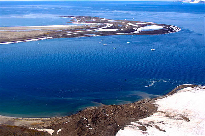 16-days Arctic cruise to Franz Josef Land and Novaya Zemlya from Murmansk port. Kola Travel