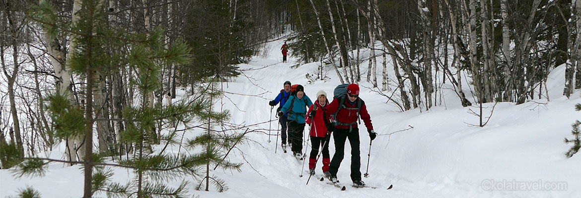 Cross-country skiing tours. From excursion to multi-day cross-country ski tours on prepared trails and with luggage transport on Kola Peninsula in northwest Russia. For beginners and experienced cross-country skiers!